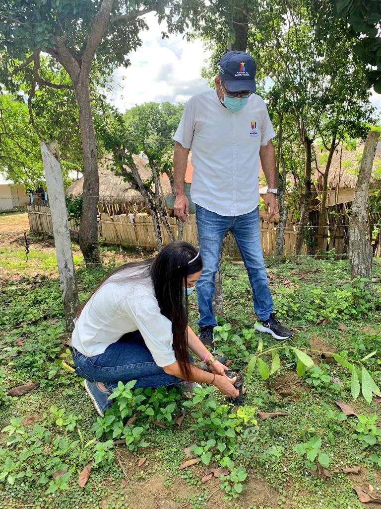 monterialcaldia's tweet photo. La zona rural también se vinculó a la Gran Sembratón  @MinAmbienteCo 🌳.  Con asociaciones de productores  del corregimiento de Santa Clara nuestro equipo de Agricultura y Desarrollo Rural sembró   árboles de guayaba agría, guanábana, mango, polvillo, roble, caoba. #UnÁrbolPara https://t.co/Rv0sLZaUyp