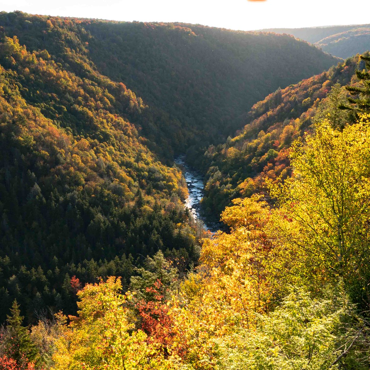 TuckerCounty_WV (@tuckercounty_wv) on Twitter photo Mild temperatures and no rain all week <a href="/dougkammerer/">Doug Kammerer</a> will help to keep #fallcolor around for another spectacular weekend of leaf peeping in Tucker County.
This pic was taken on 10/10/21 from Pendleton Point in #BlackwaterFalls State Park. @WHSVaubs
#gettuckered #almostheaven Mild temperatures and no rain all week <a href="/dougkammerer/">Doug Kammerer</a> will help to keep #fallcolor around for another spectacular weekend of leaf peeping in Tucker County.
This pic was taken on 10/10/21 from Pendleton Point in #BlackwaterFalls State Park. @WHSVaubs
#gettuckered #almostheaven
