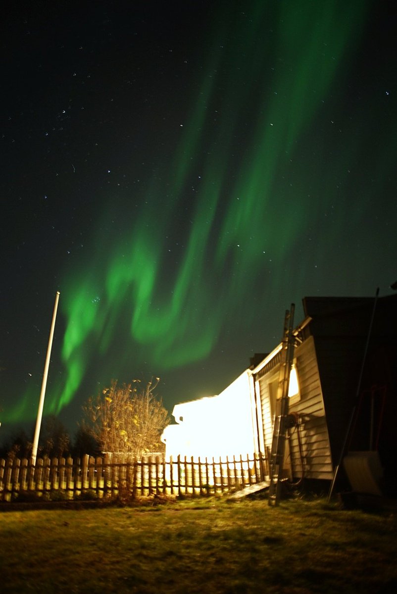 AngryTheInch's tweet photo. It's gorgeous!
Oh how I've longed for this.
I don't dare leave my backyard though because I can't see where the moose family is.
Kiruna problems. 😬 https://t.co/SsB7cayxkE