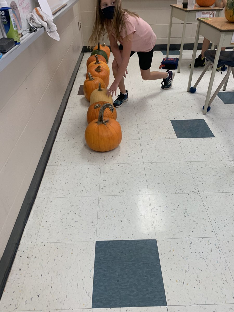 apatzale's tweet photo. The pumpkins are back! Let the inquiry begin. Learning the importance of setting parameters when comparing items to each other. @SWO_HWDSB https://t.co/X01nosMU7p