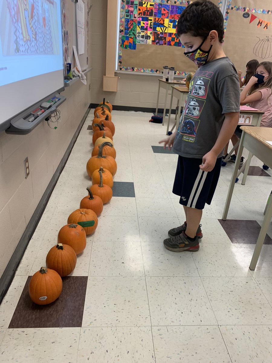 apatzale's tweet photo. The pumpkins are back! Let the inquiry begin. Learning the importance of setting parameters when comparing items to each other. @SWO_HWDSB https://t.co/X01nosMU7p