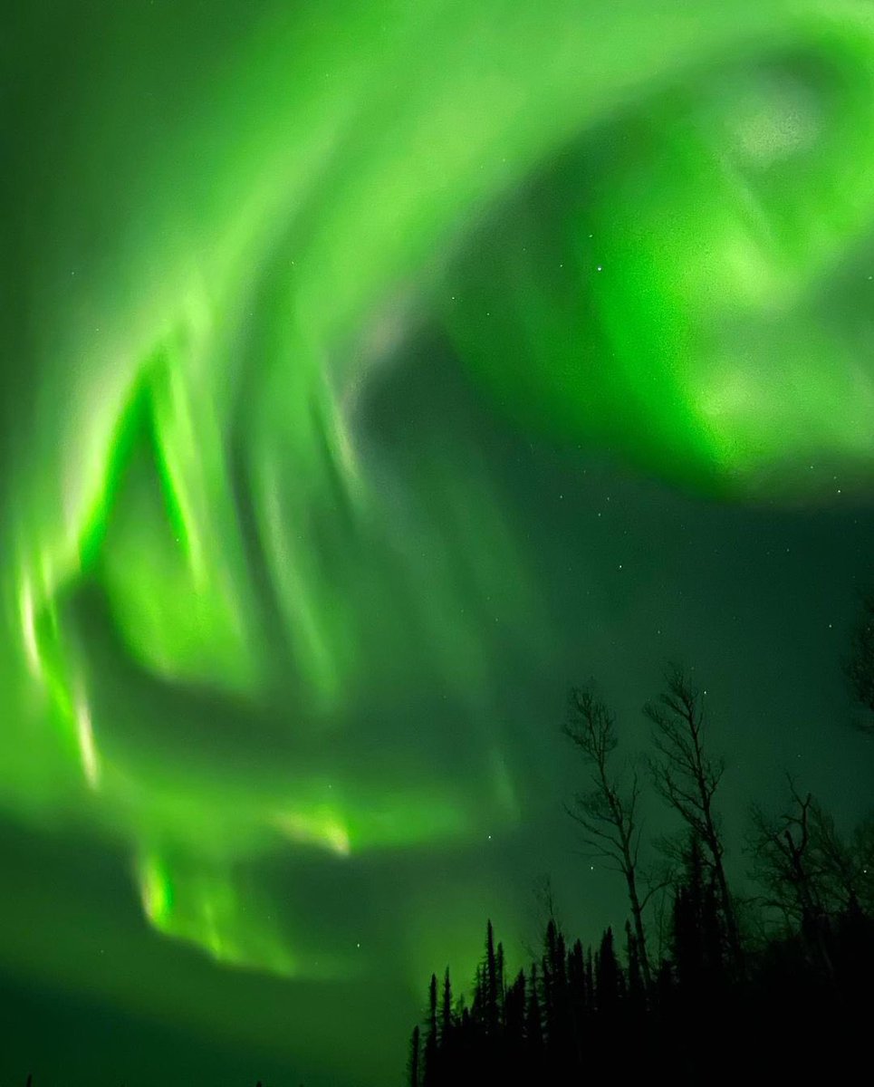 MeteoCotedAzur's tweet photo. 🇨🇦🌎 #InfoMonde
12/10/2021 à 21h25 : D’intenses aurores boréales illuminent le ciel du #Canada ces dernières nuits comme en témoignent ces fabuleuses photos depuis #BerensRiver (#Manitoba), située sur la côte est du lac #Winnipeg. https://t.co/nG8qLDMx0p https://t.co/SgXA2wiWr3