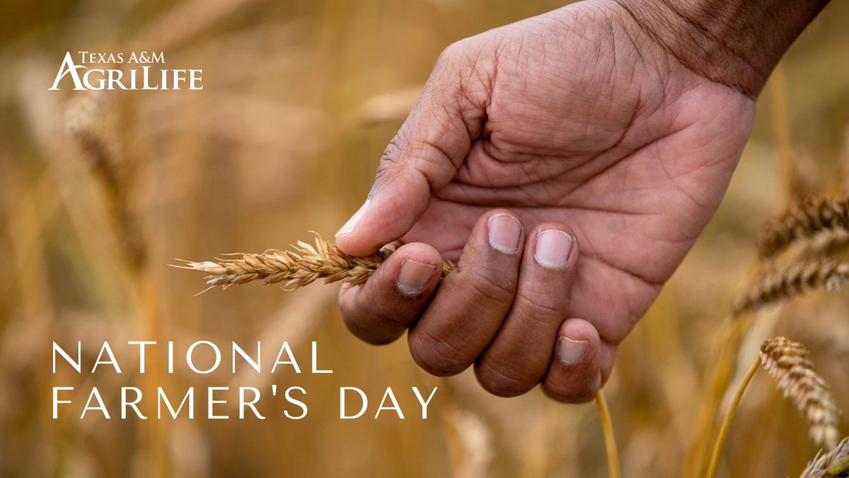 AgriLife's tweet photo. Thank you to the farmers who work so hard to nourish our families. We're proud to support them in their fight to feed the world and solve problems through the power of agriculture. #farmersfight  #NationalFarmersDay https://t.co/P1NzbDbA93