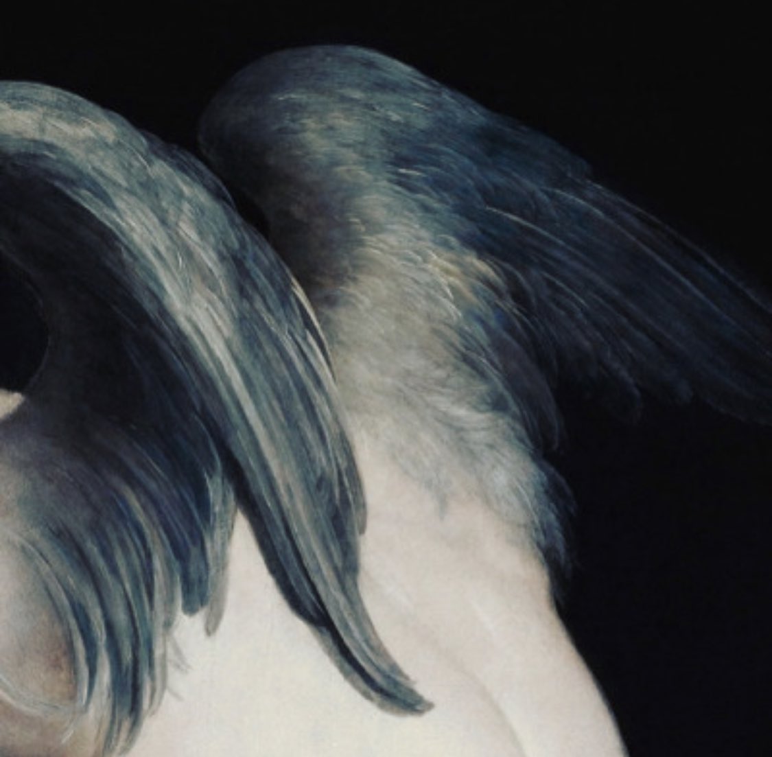 l’art est une étoile tweet media