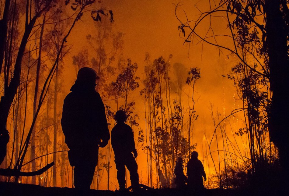 Most people associate the immediate needs of disaster survivors to be food, water, and shelter; however, there are significant legal needs of disaster survivors. The DLS was created to help with that.
bit.ly/3mBJxm3