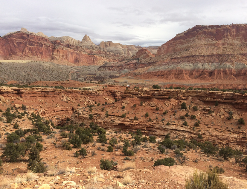CapitolReefNPS's tweet photo. #TrailTuesday Take a discovery hike along the Fremont River Trail (2 mi/3.4 km roundtrip, 480 ft/146 m elevation gain). This moderate trail strolls along the Fremont River, Mulford Orchard, &amp; Hattie’s Field before climbing steeply through the Moenkopi Formation.  
NPS photo https://t.co/vnOZ1SyDEy