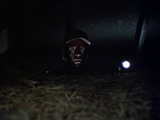 и гаснет свет. фильм и гаснет свет диана. монстры в темноте сонный паралич. ужастик диана гаснет свет. ночной гость фильм ужас 2015.