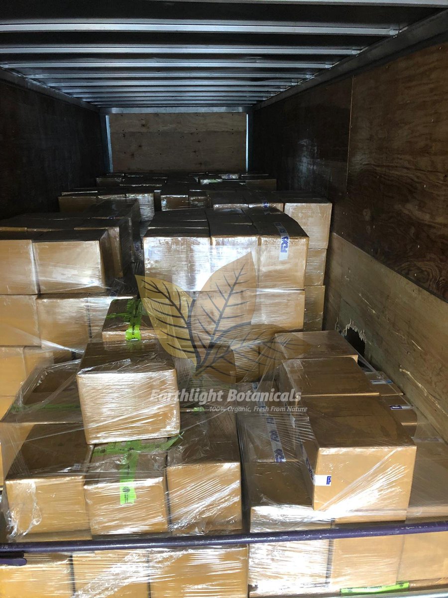 Earthlightid's tweet image. Arrived in USA 🇺🇸

Accept orders large and small, for quality no doubt, because our kratom is grown and harvested for maturity, potency, and freshness
  Our Kratom is harvested, dried, and professionally produced with the best care to create the best product! 
#kratom #iamkratom