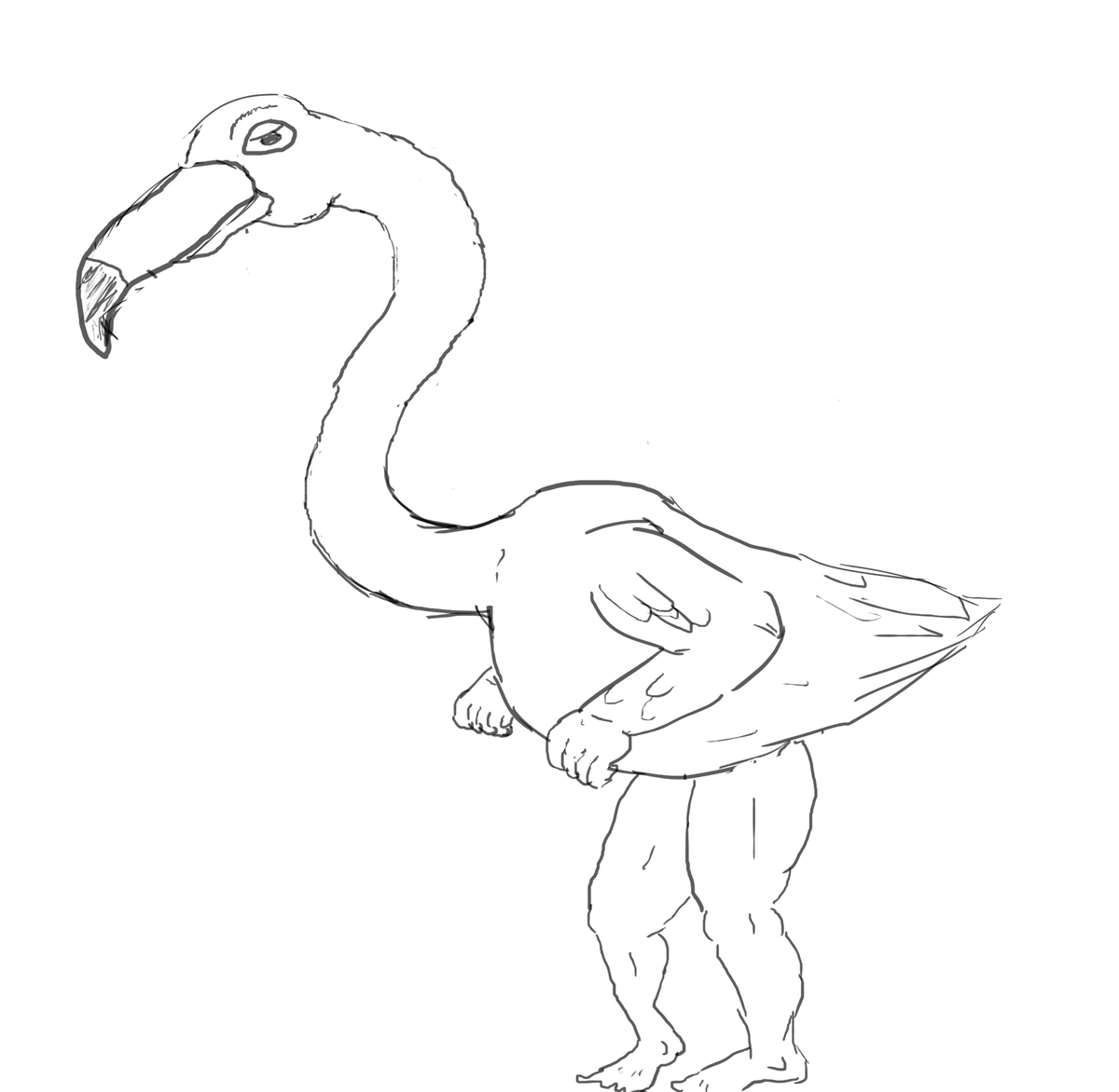 wyattades's tweet image. Ringo the Flamingo and their cousin, Rango