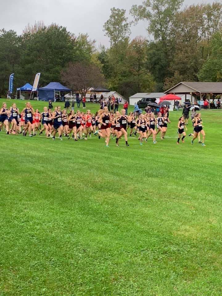 STLSharks's tweet photo. And our high school girls are off! We’re hosting the final TVC 10 Boys &amp; Girls Cross Country Jamboree of the season at Hidden Oaks Golf Course! 

#StrongHeartsFastFeet https://t.co/BfdL61Mvmk