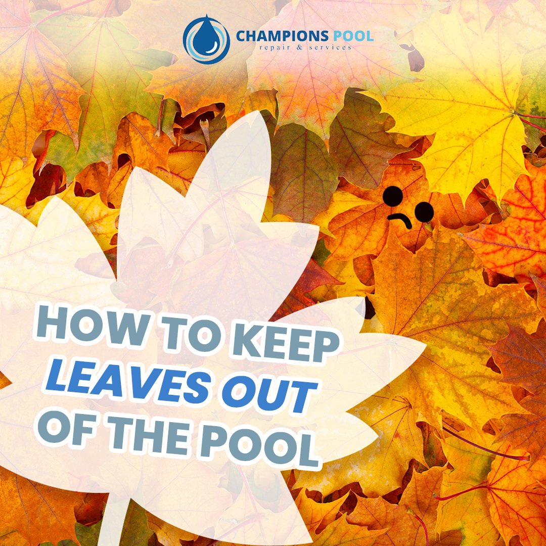 ChampionsPools's tweet photo. What are your best hacks or tricks for keeping 🍂 out of your pool? Comment below ⬇️
#leavesinthepool #poolmaintenance #ThursdayThoughts https://t.co/EruEZXBUQs