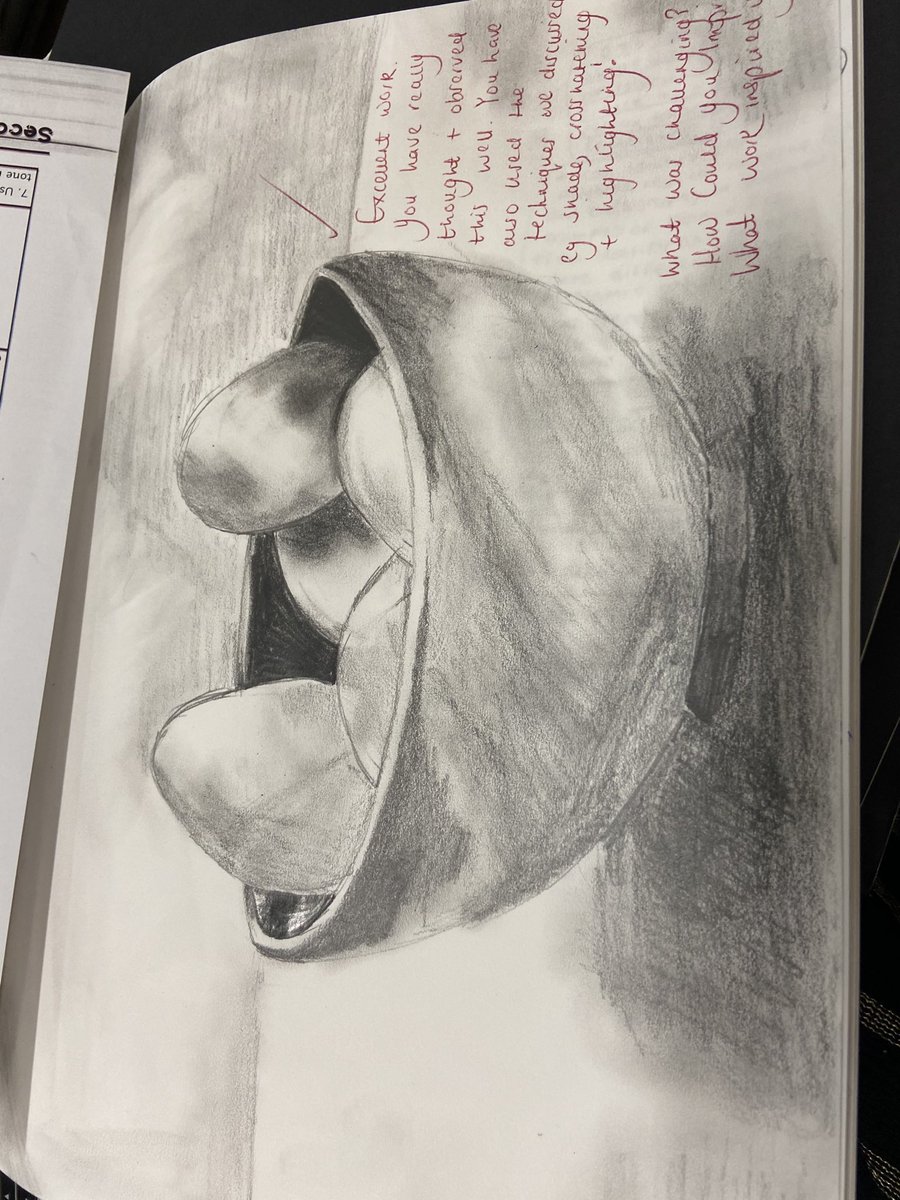 sophieahmedx's tweet photo. Proud of my year 9s. What great observational drawing. 👏🏽
#riag #stilllife #tone #contour #crosshatching #art #observation #sketch #draw #highlight https://t.co/Jq5lFT7t4h
