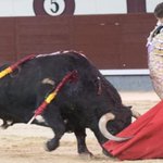 Photo by ABC_Toros (@ABC_Toros)