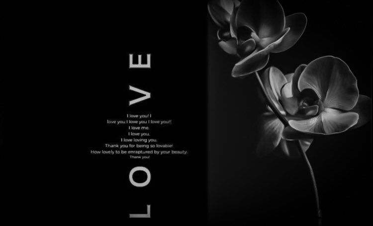 SC4RVIL's tweet image. 