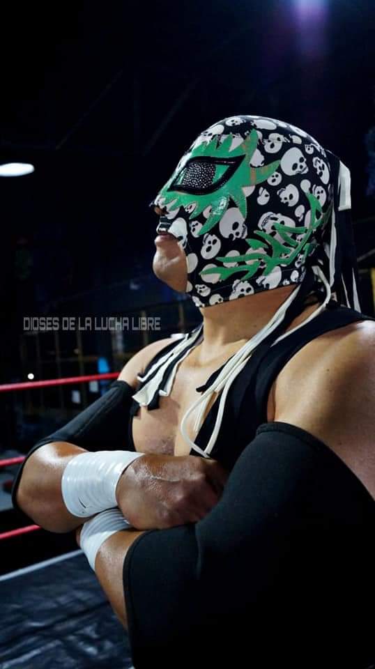 HEAVYBOY30's tweet photo. Que buenas fotos. Después de estar guardado el personaje empieza a salir a hacer ruido. 
#heavyboy #fyp #respirandovida #comoelavefenix https://t.co/IhvdKupGo6