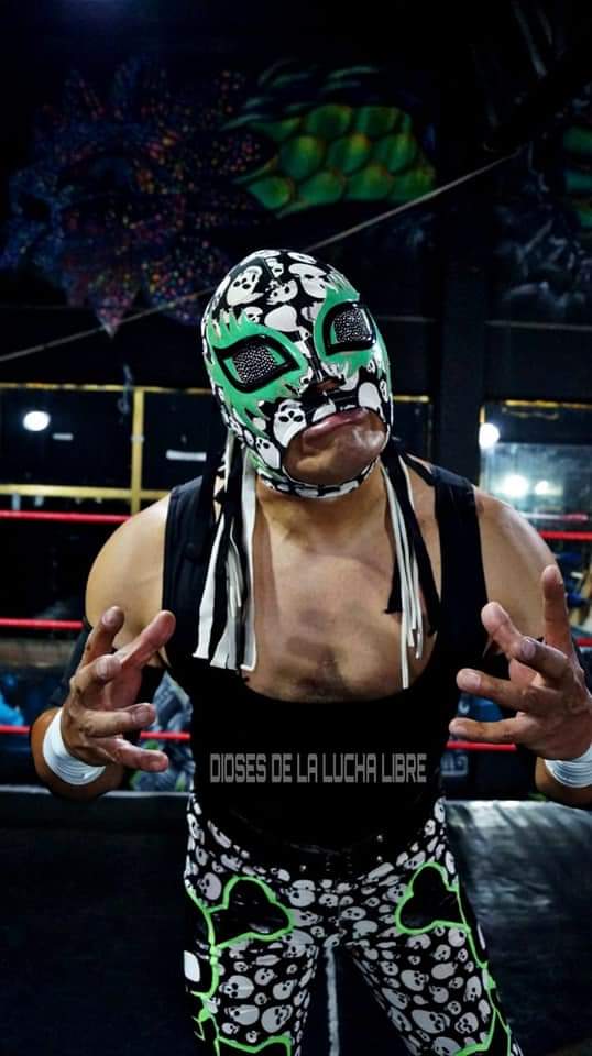 HEAVYBOY30's tweet photo. Que buenas fotos. Después de estar guardado el personaje empieza a salir a hacer ruido. 
#heavyboy #fyp #respirandovida #comoelavefenix https://t.co/IhvdKupGo6