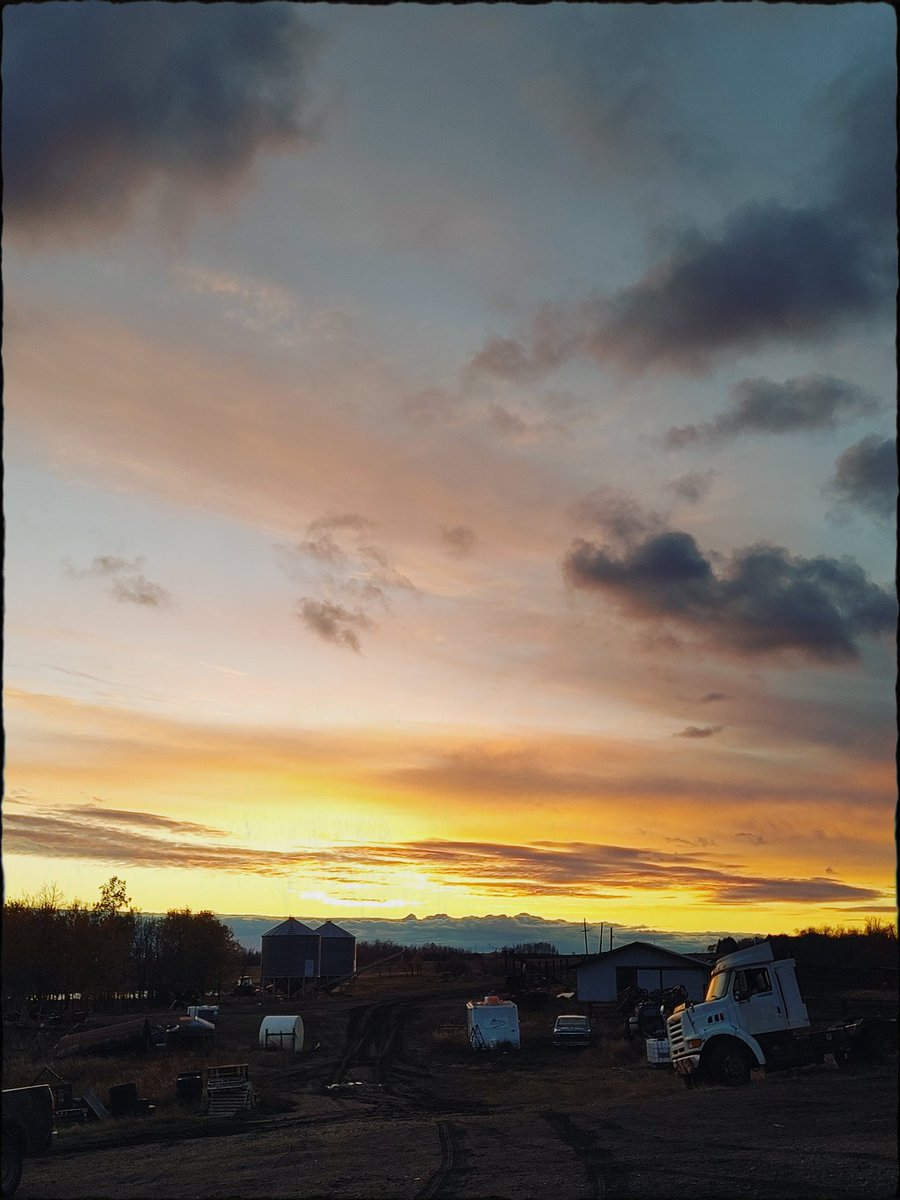 carolinerparke's tweet photo. Nighty night, from our farmyard to yours. May #music find you in your slumbers #abgirl #absunset https://t.co/0ZAevUPKxB