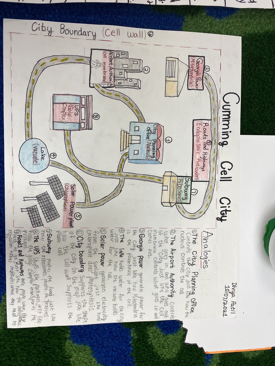 taylorcjmedlock's tweet photo. Just had to add a few more excellent cell projects from my super 5th-grade scientist. https://t.co/b5U8jGHfUk