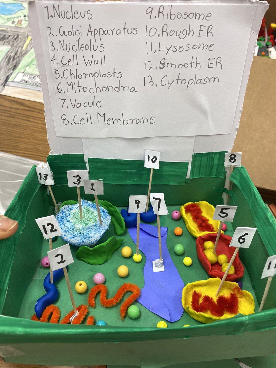 taylorcjmedlock's tweet photo. Just had to add a few more excellent cell projects from my super 5th-grade scientist. https://t.co/b5U8jGHfUk