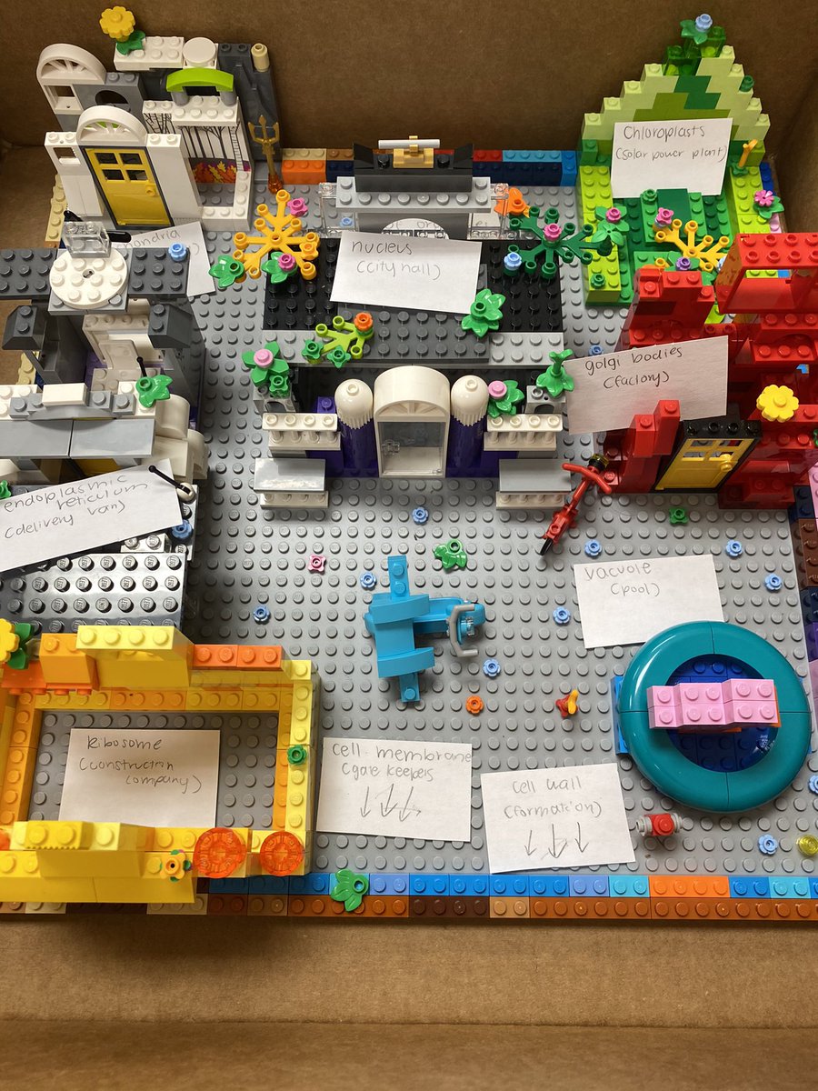 taylorcjmedlock's tweet photo. Just had to add a few more excellent cell projects from my super 5th-grade scientist. https://t.co/b5U8jGHfUk