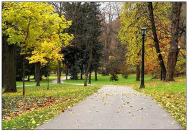 Heslin Dowe (@doweheslin) on Twitter photo 