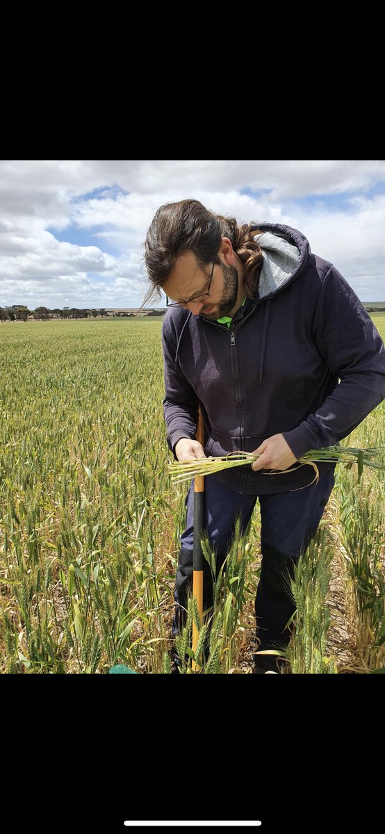 BioscienceLtd's tweet photo. @FalkoMathes and @SimonMain6 visited a field site in Ravensthorpe yesterday. The team are looking at the effect of polymers on crop production. @Daniel_V_Murphy @Prof_Braj_Singh @WCmicrobiome @GrainIndustryWA https://t.co/FxfOI55TqX