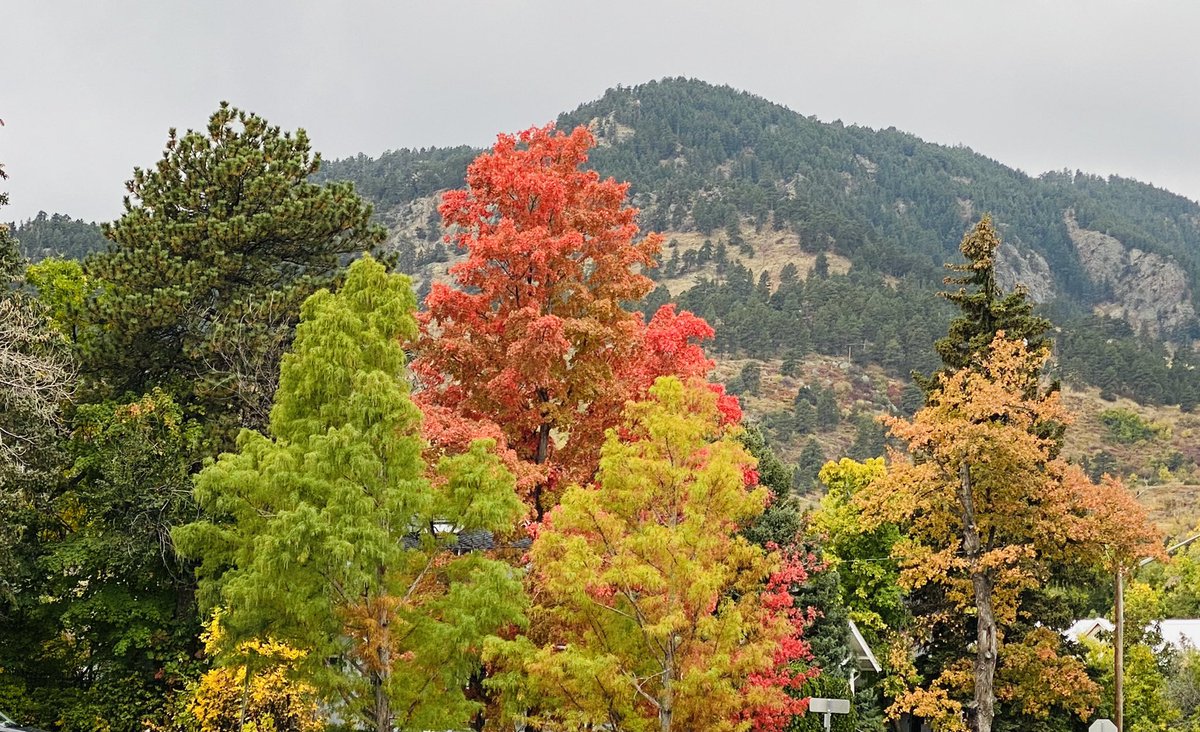 Fall in Boulder. #cowx #Boulder #Colorado