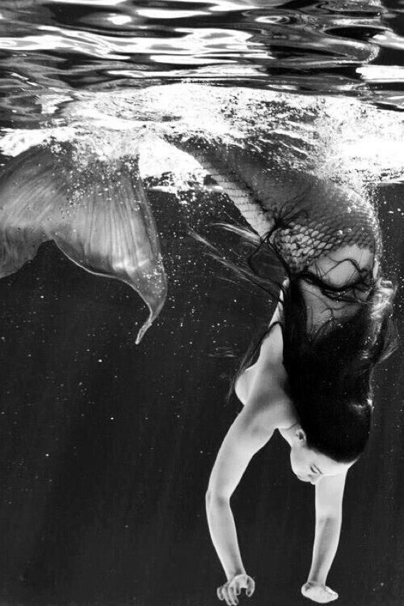 “My slippery mermaid, swim like a fish shimmering through emerald seas, loving me like an endless ocean, and desire me through a twinkling starlit night”~Ocean
