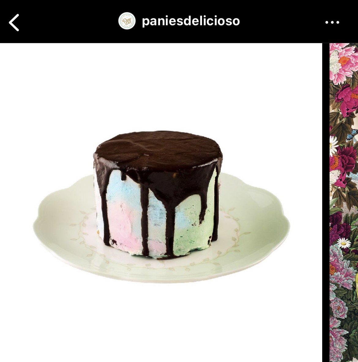 bernobrega's tweet photo. Che, ¿no les parece un fiasco a la gastronomía vegana la torta “pride” de #Pani?  

¿La probaron? https://t.co/pGzo6e2On5
