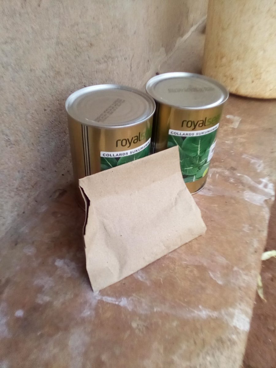 BeaconFarms's tweet photo. Time to set up nursery. Collards Southern Georgia seeds from Royal Seeds Company Kenya. Approximately 75,000 seeds. https://t.co/cNlXwVA1sT