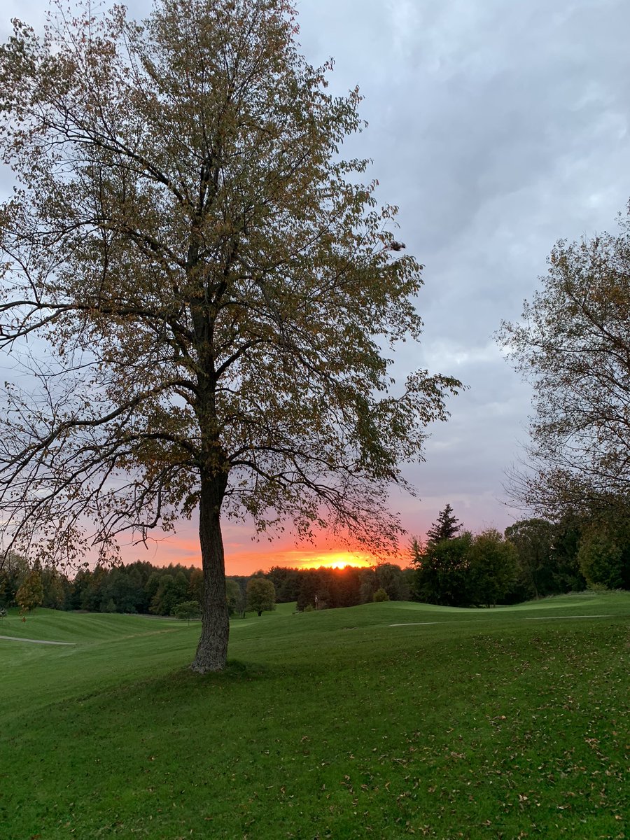 SherriShep's tweet photo. I ๐งก golf in the fall (even when I golf horribly). #flamboroughhills #thatsunset https://t.co/6LdZEnHqwN