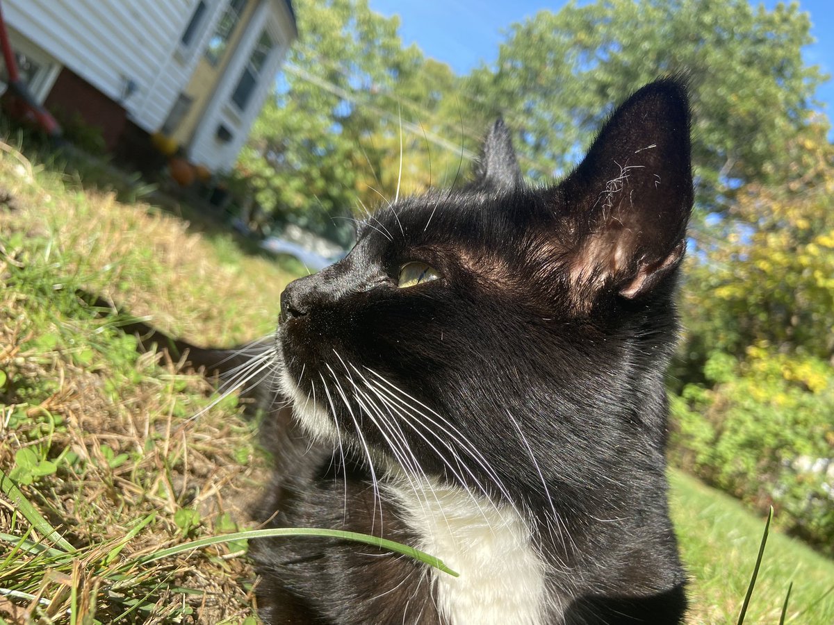 Lea 🦀 tweet media