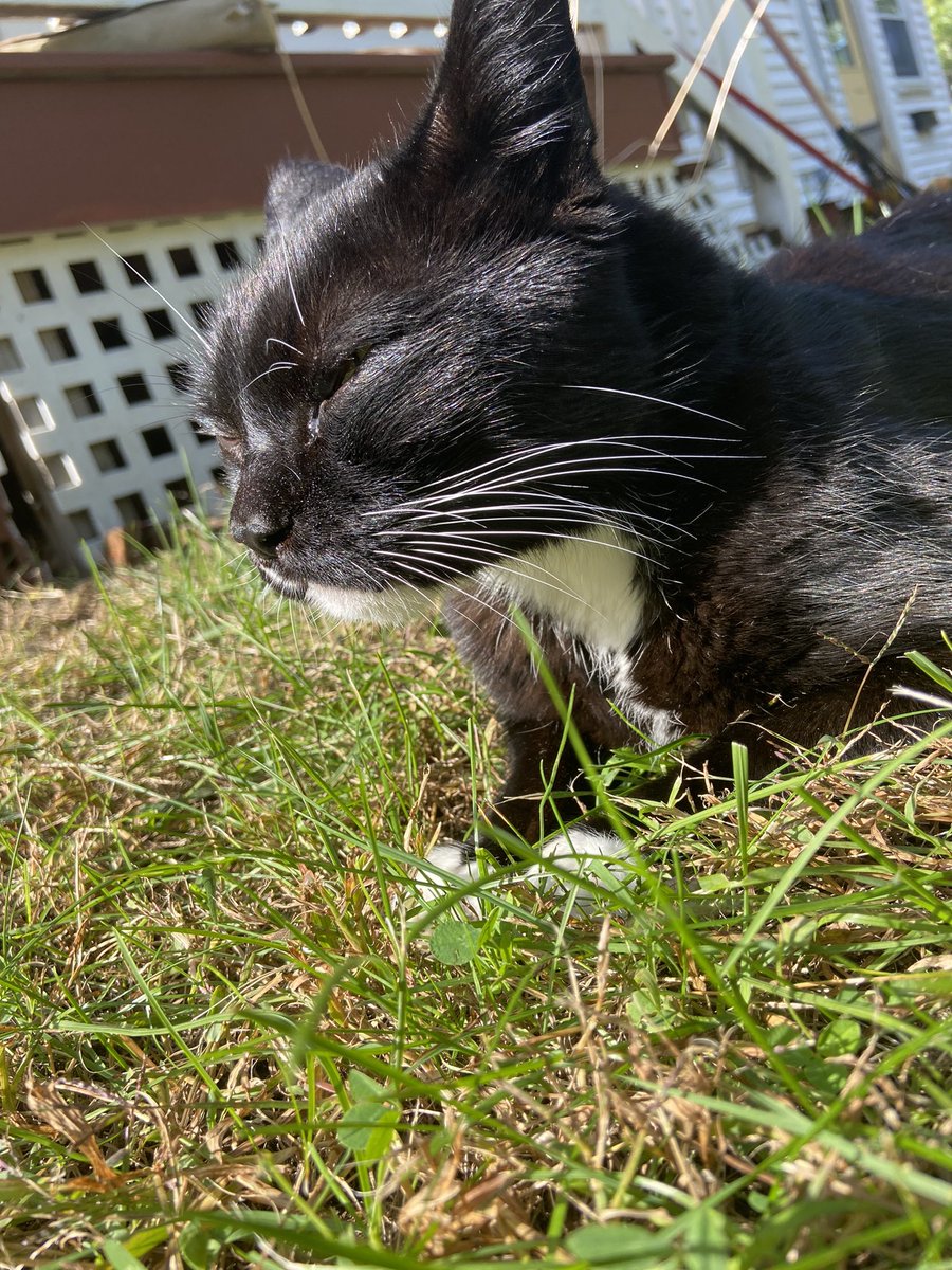 Lea 🦀 tweet media