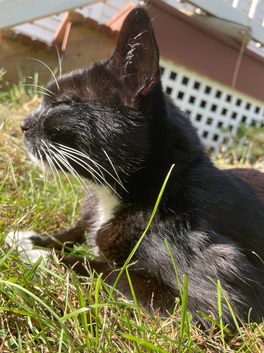 Lea 🦀 tweet media