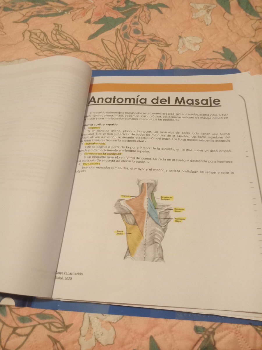 enocc_alee's tweet photo. Hoy será una noche Eterna
#modoestudio🥴 https://t.co/Vf93xnlva3