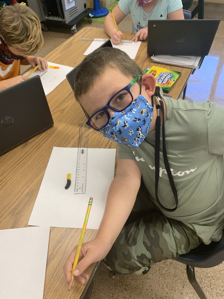 mrscolgansclass's tweet photo. Applying our measurement skills with some gummy worm fun!  #TwitterTuesday #LevelUpRebelUp #sceslearners #mathisfun #fun2learn https://t.co/k92tPPJPJg