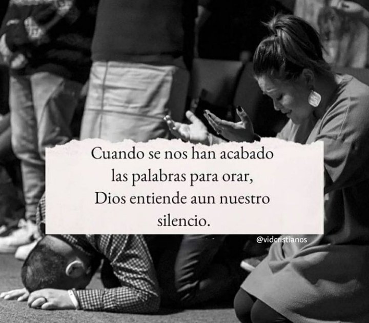 Yusmelis_G's tweet photo. Del mismo modo, y puesto que nuestra confianza en Dios es débil, el Espíritu Santo nos ayuda. Porque no sabemos cómo debemos orar a Dios, pero el Espíritu mismo ruega por nosotros, y lo hace de modo tan especial que no hay palabras para expresarlo. ✨

Romanos 8:26 https://t.co/bLv6ezaXxB
