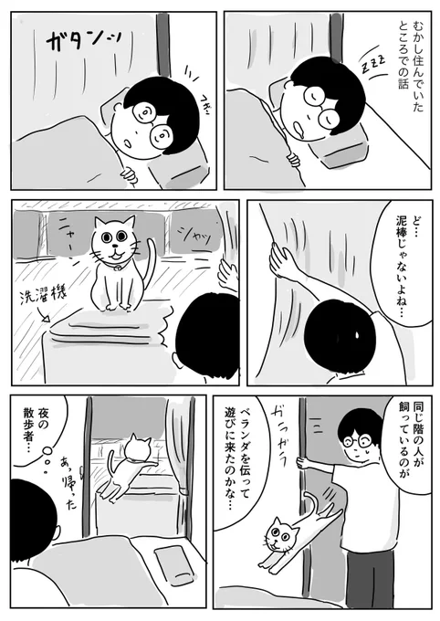 夜の散歩者 