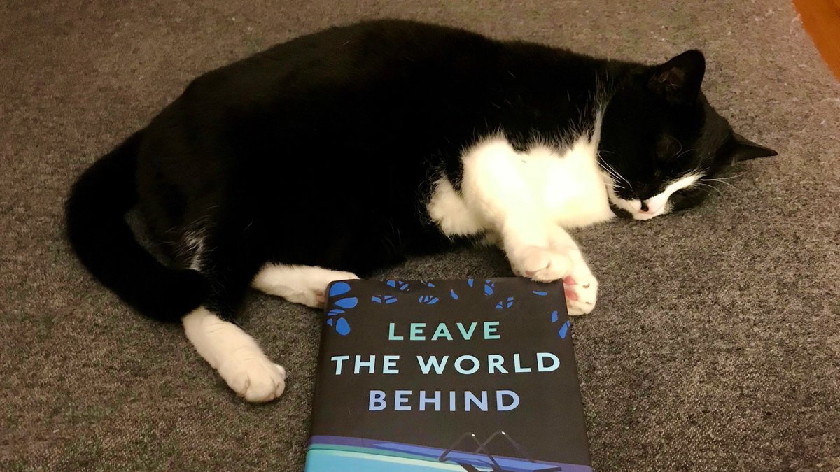 Of course cats are as affectionate as dogs!💜 Winnie has a "secure" attachment style...(tho she is sometimes jealous of the books I read).