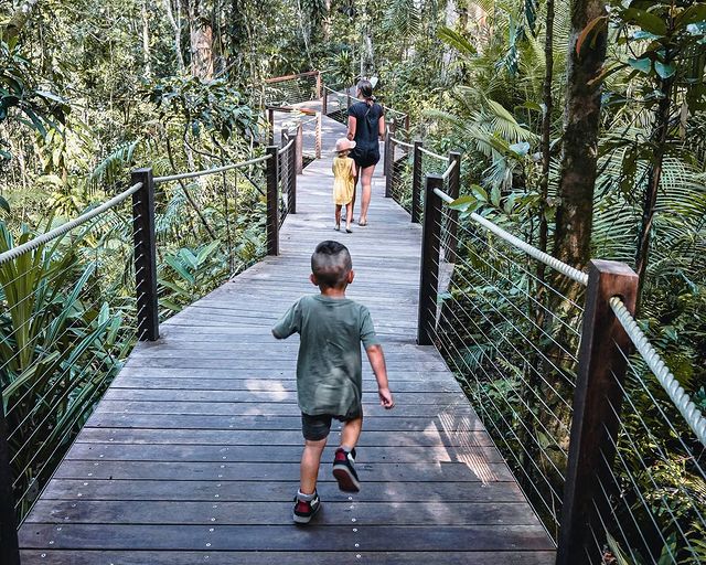 SkyrailCairns's tweet image. With #RedPeak offering a glimpse of the earth as it once was, it's as if you have travelled back in time to 130 million years ago. Slow down, appreciate and immerse yourself in this unforgettable experience of a lifetime 💚
📸: IG/wanderlustwithlittleones
#TheAncientRainforest