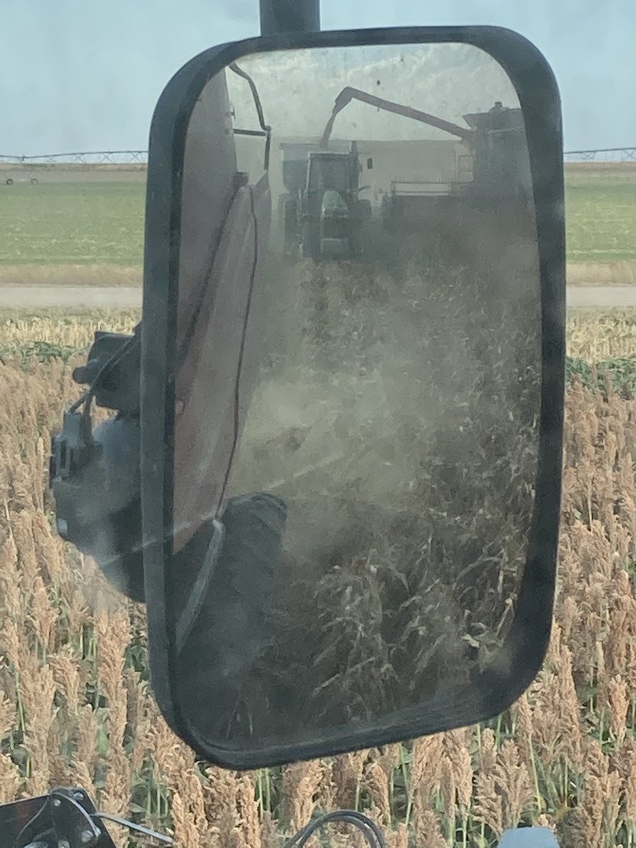 Brad Heil (@heilharvesting) on Twitter photo 