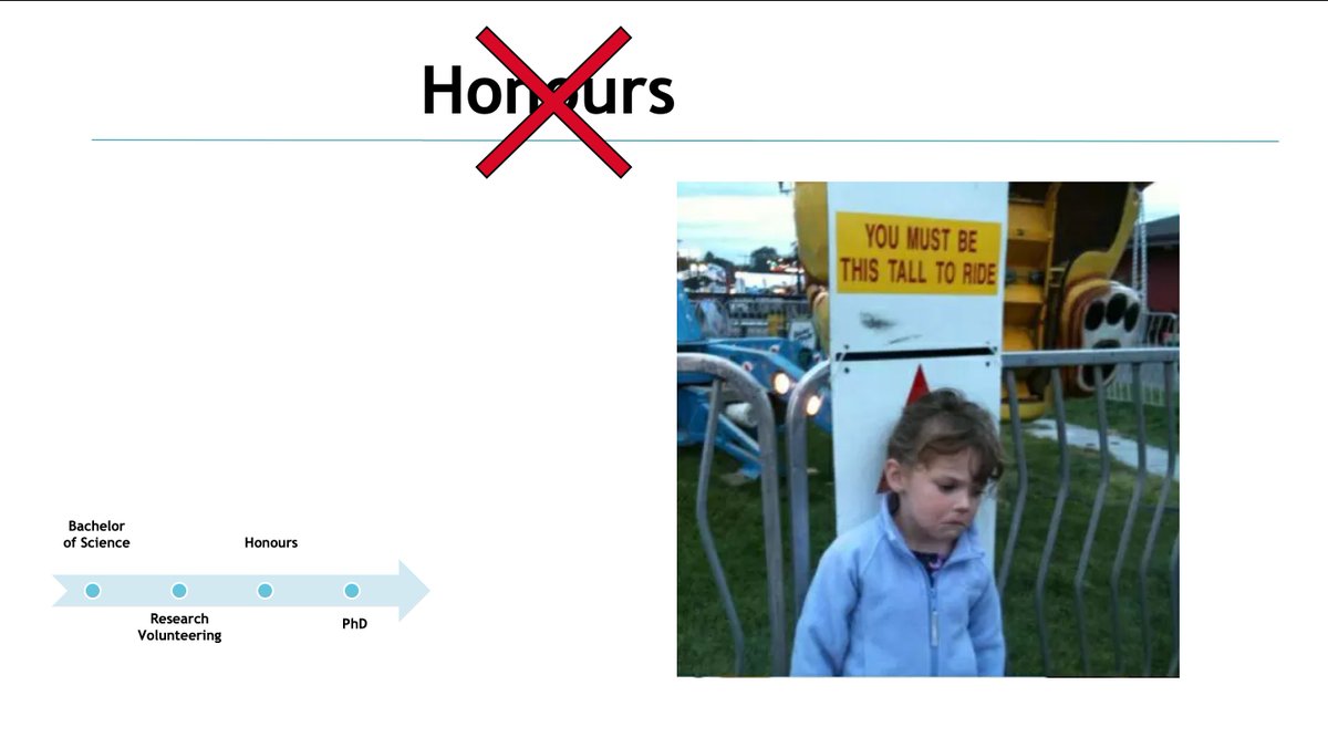 Conor McCafferty tweet media