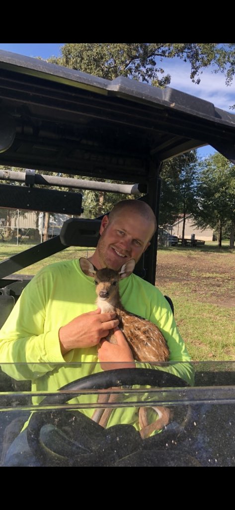 R_Lovell15's tweet photo. Oh deer. https://t.co/iDuM2FBs4n