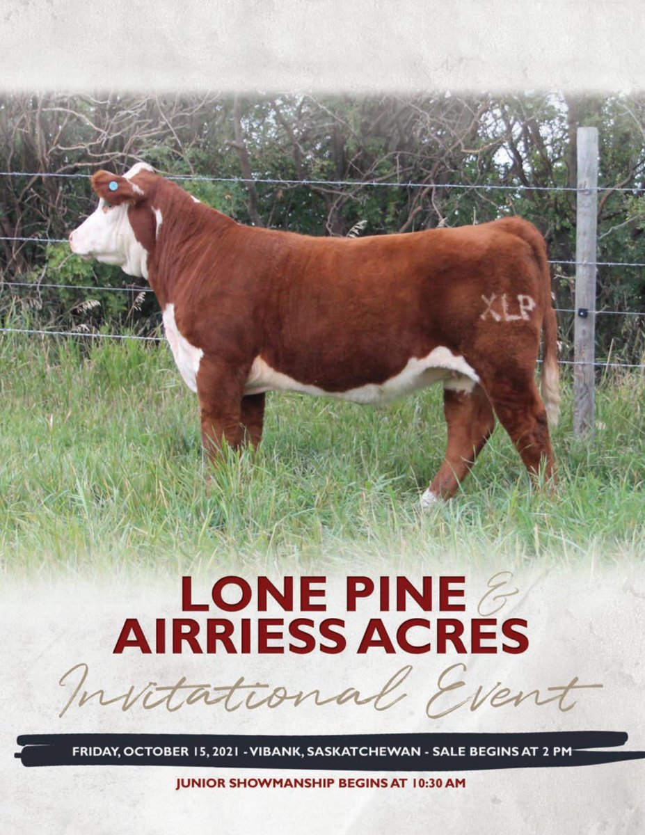 AirriessAcres tweet picture