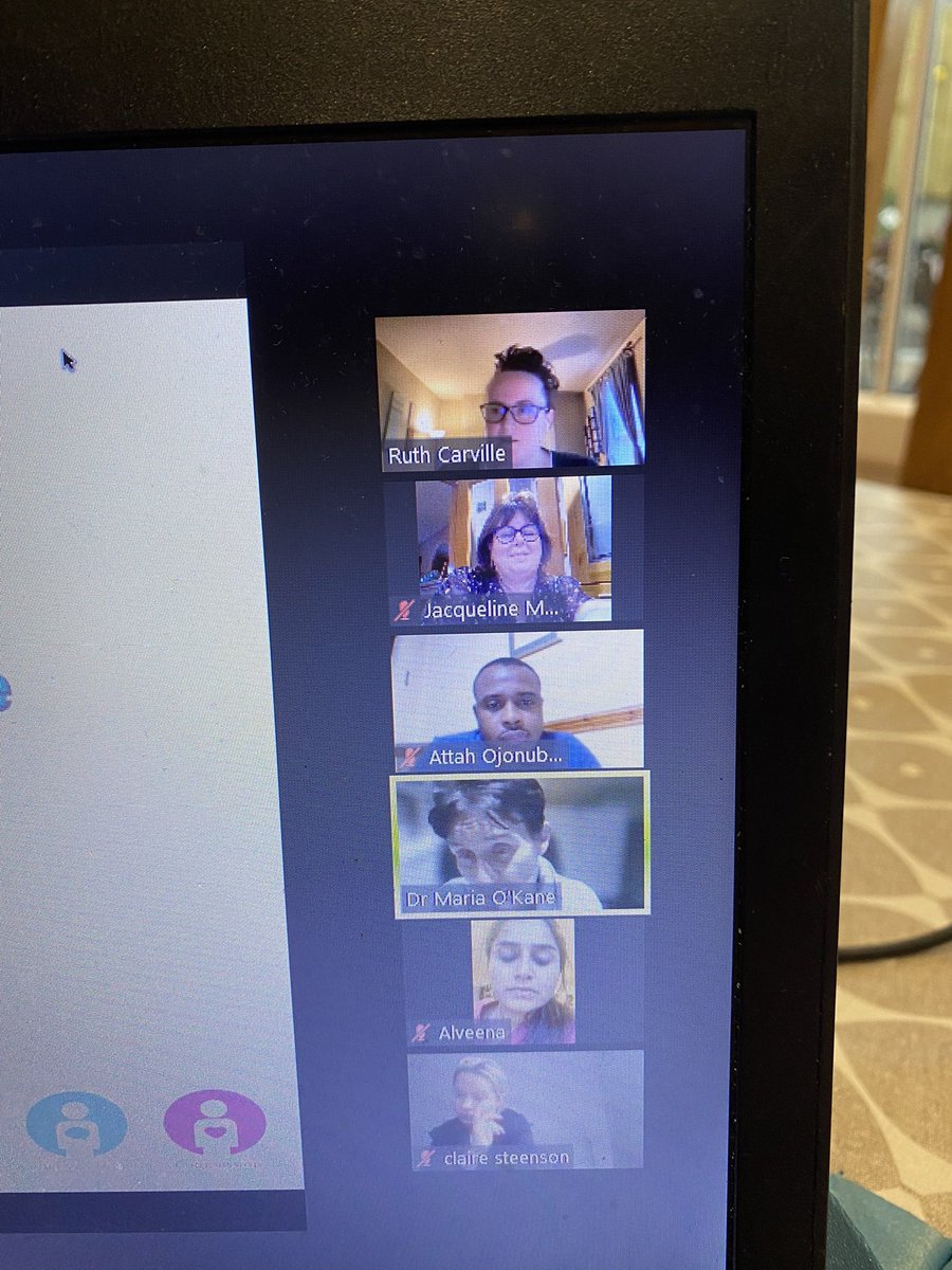 A warm welcome <a href="/SouthernHSCT/">Southern Trust</a> Cohort 4 Core Steps participants  with <a href="/mdocok/">maria okane</a>  @psychobabble85 such a lovely group who eager to develop their QI knowledge and Skills #PDSA #Coinspinning #Deming #Virtual