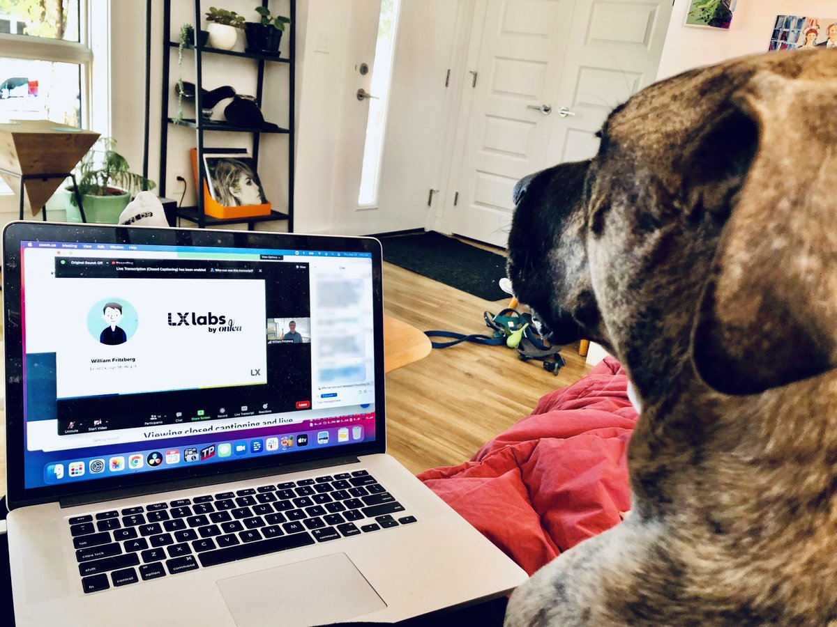 onlea_org's tweet photo. Hi! We are really excited to share some LX Labs news soon. Even our 🐾 friends are eagerly awaiting 🤩
#learningexperiencedesign #learningexperience #LX #onlinelearningredefined #whatwillyouteachtheworld https://t.co/W4B0v5fUtR