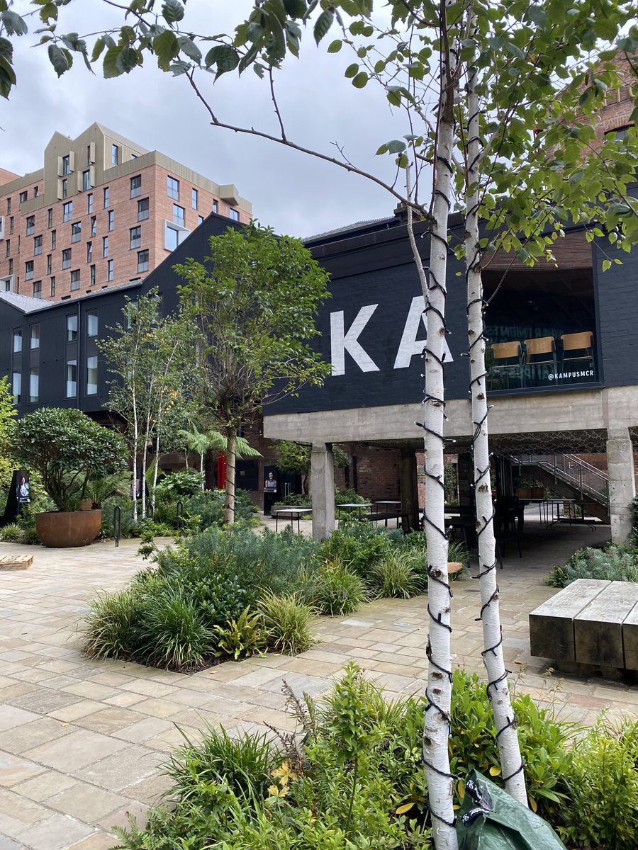 STORE—GROUP tweet media