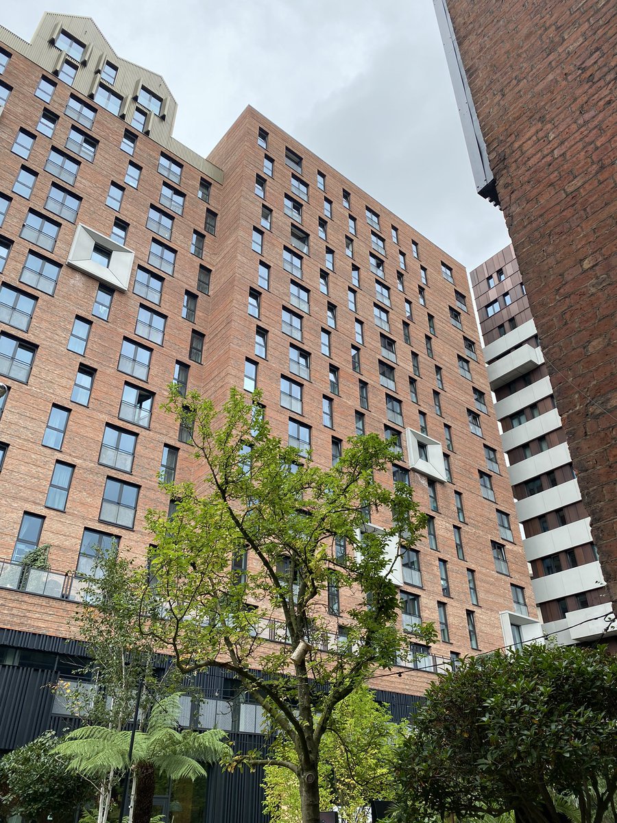 STORE—GROUP tweet media