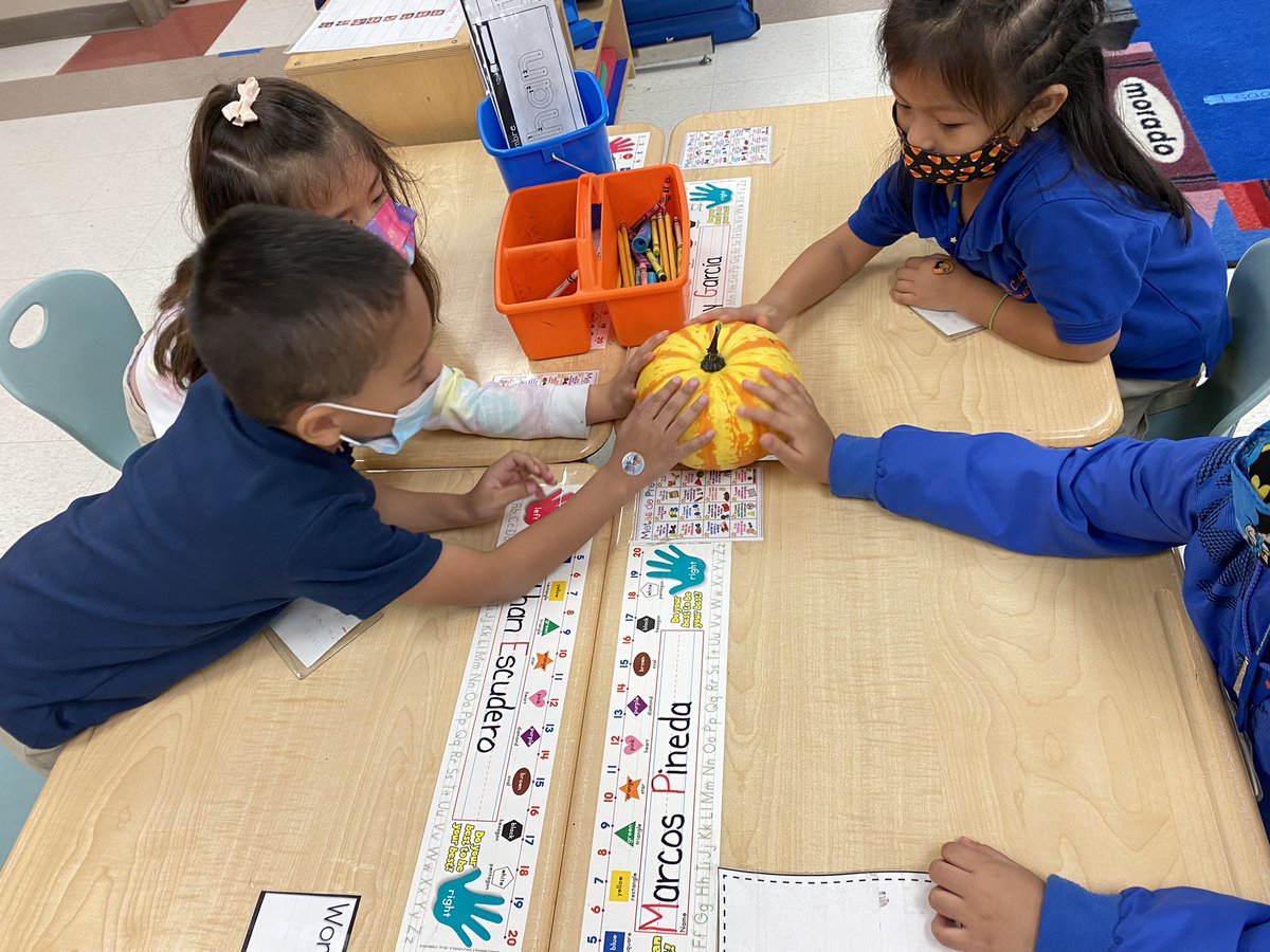 DeLeonB2008's tweet photo. Science FUN academy! 🥼👩‍🔬🧑‍🔬
What’s inside the pumpkin? 
Pre-K students explored parts of a pumpkin, and used their 5 senses!
#RecordObservations @MrsDstigers @karenGa61255444 https://t.co/NuL7W7dHgp