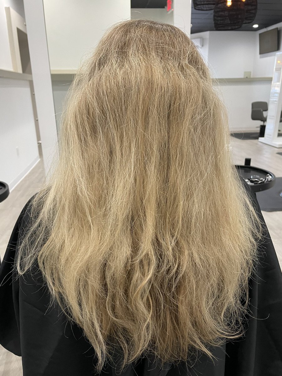 Qu33nMayhem's tweet photo. Today I gave my client a more natural blonde look and I’m LIVING FOR IT Used @Redken5thAve #ShadesEQGloss #FlashLift and @olaplex #No1 #No2 and #No7 #NorCalHair #Bleach #Toner #Aline https://t.co/X3HFfWlQVy